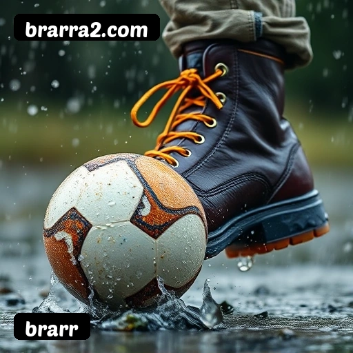 Recursos Exclusivos do App brarr - Modo Offline, Login Biométrico